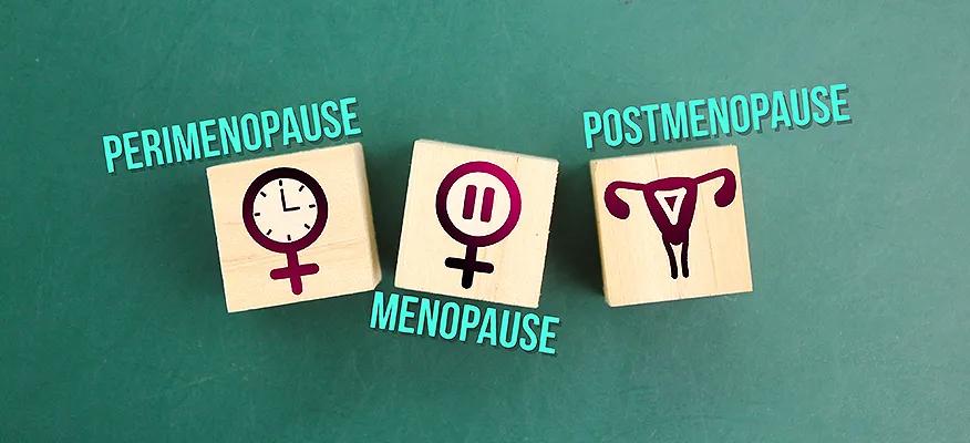 Understanding Perimenopause and Menopause: Crucial Differences
