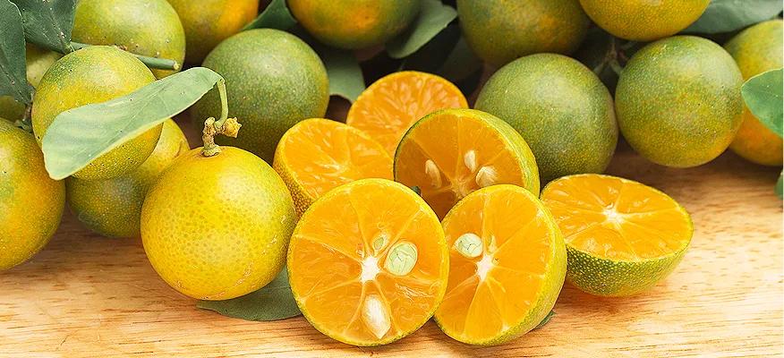 Calamansi benefits for skin, immunity, and digestion