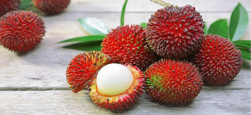 Pulasan Fruit: Health Benefits, Nutrition, and Uses